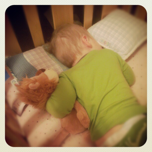Found Brigham all snuggled up with Mr. Lion this morning.